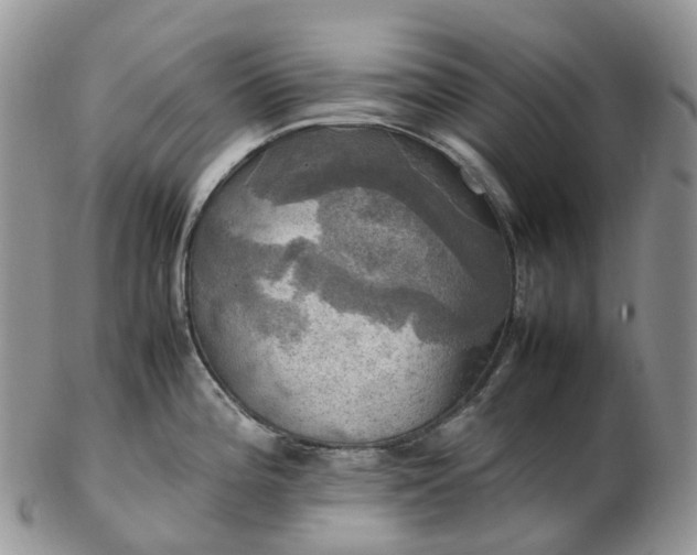 X0000102841196200808251149