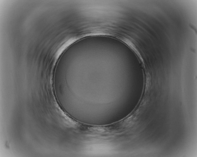 X0000102841197200808251149