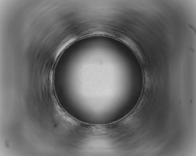 X0000102841198200808251149