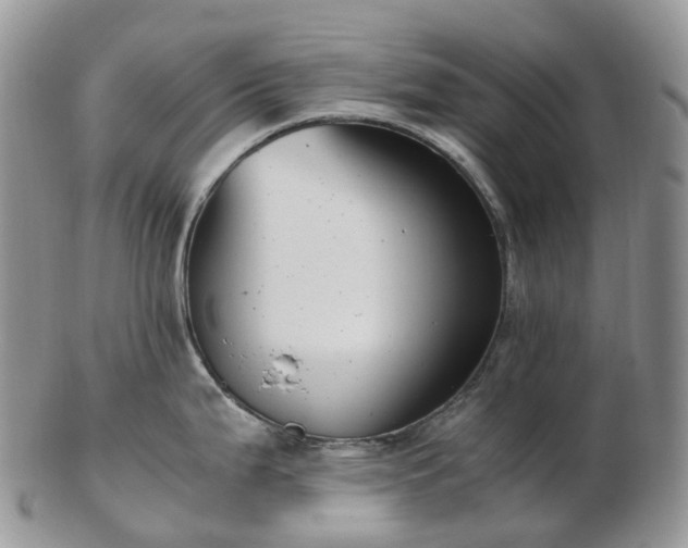 X0000102841199200808251149