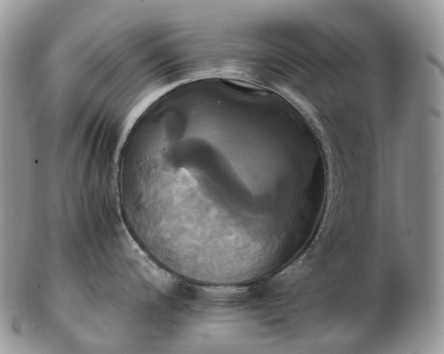 X0000102841200200808251149