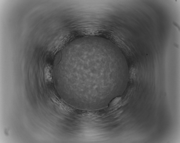 X0000102841202200808251148