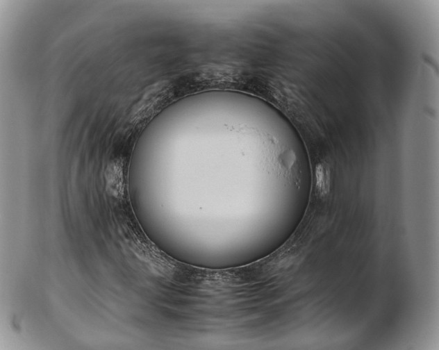 X0000102841203200808251148