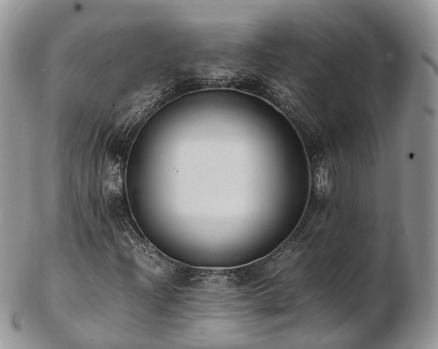 X0000102841204200808251148