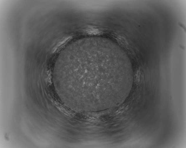 X0000102841205200808251148