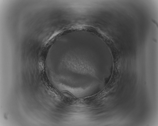 X0000102841206200808251148