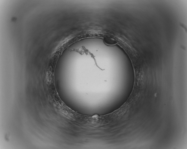 X0000102841207200808251148