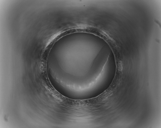 X0000102841208200808251148