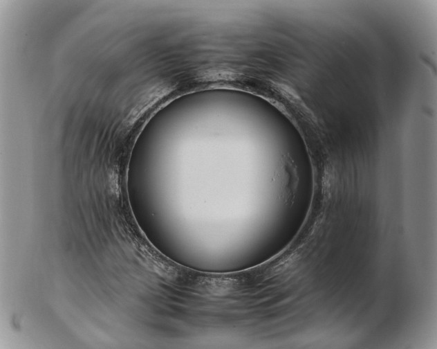 X0000102841209200808251148