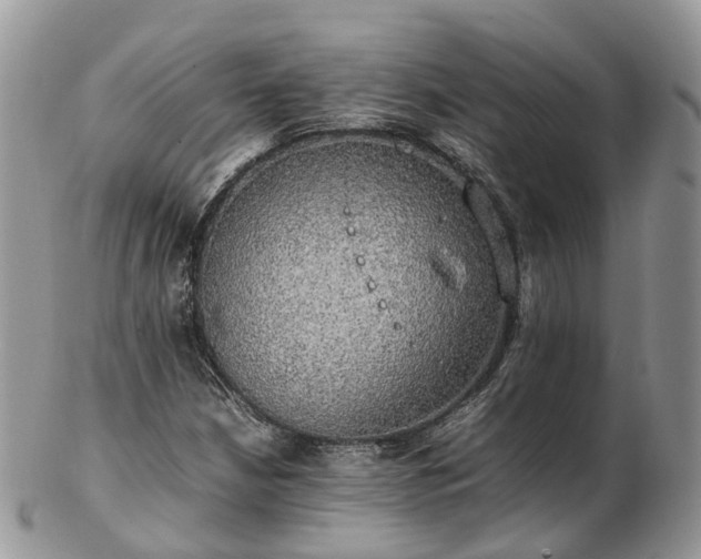 X0000102841210200808251148