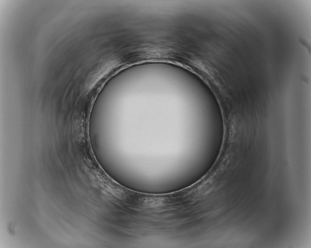 X0000102841211200808251148