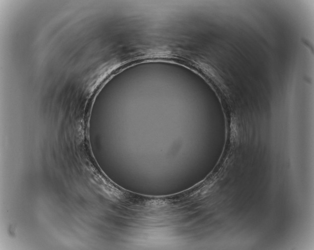 X0000102841212200808251148