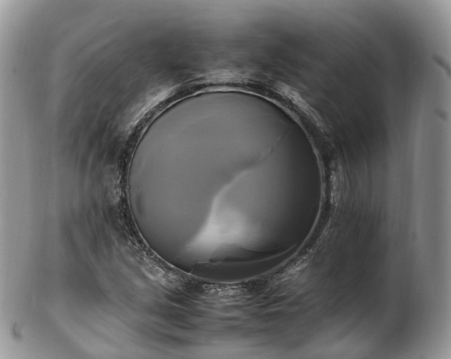 X0000102841213200808251148