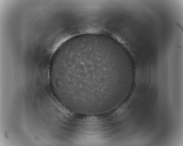 X0000102841214200808251148