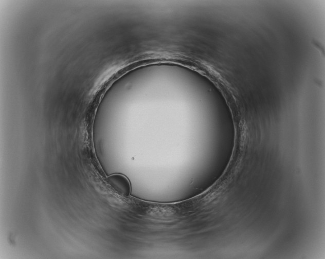 X0000102841215200808251148