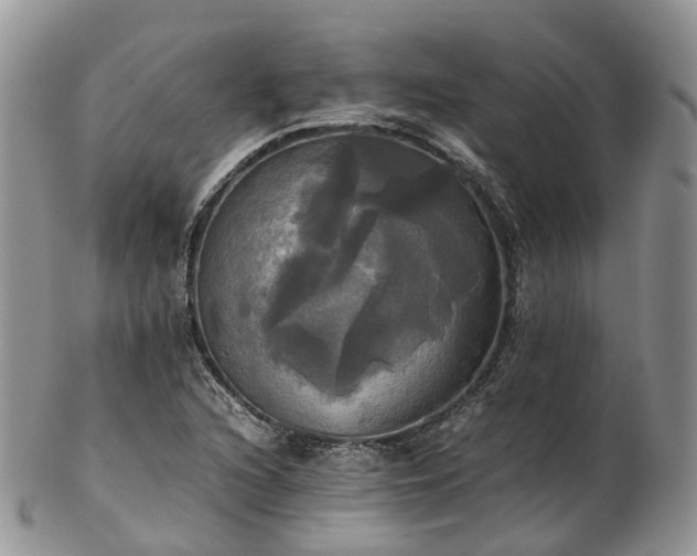 X0000102841216200808251148