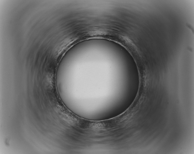 X0000102841217200808251148