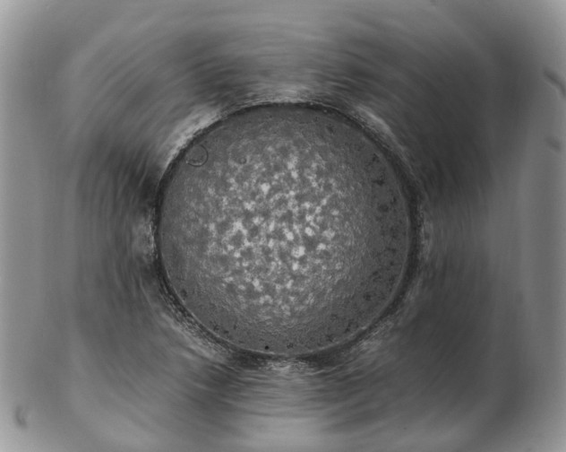 X0000102841218200808251148