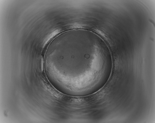 X0000102841219200808251148