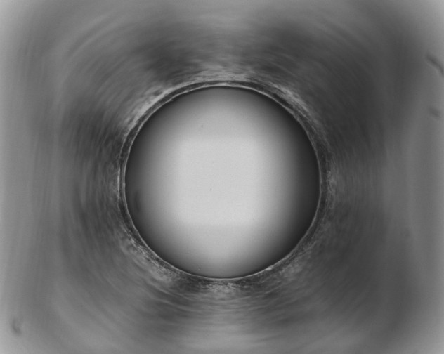 X0000102841220200808251148