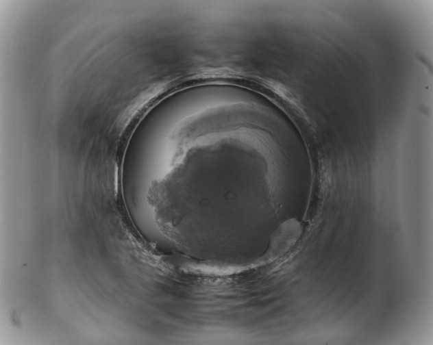 X0000102841221200808251148