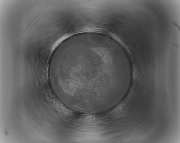 X0000102841222200808251148