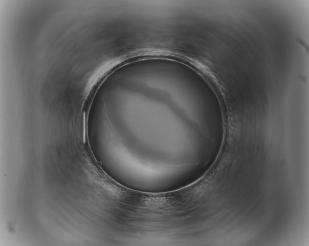 X0000102841223200808251148