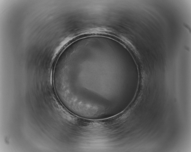 X0000102841224200808251148