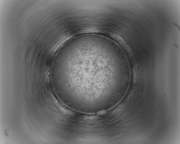 X0000102841225200808251148