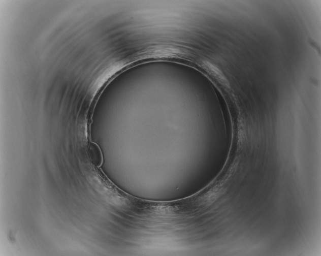 X0000102841226200808251148