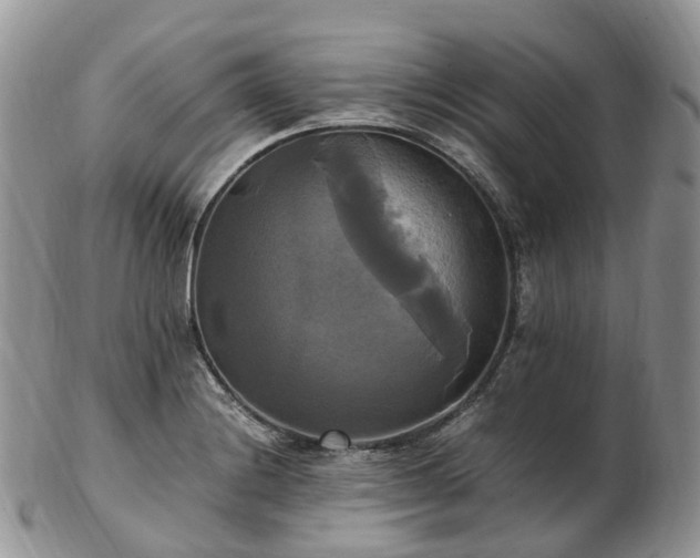 X0000102841228200808251148