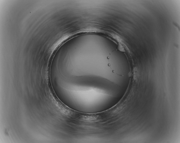 X0000102841229200808251148