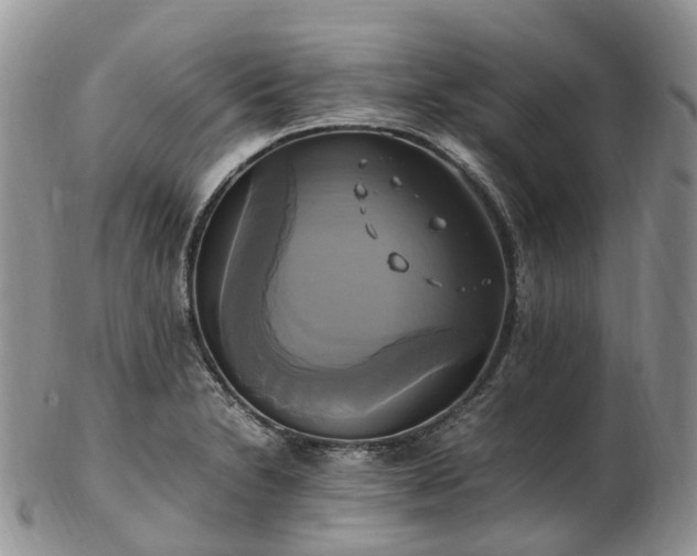 X0000102841230200808251148