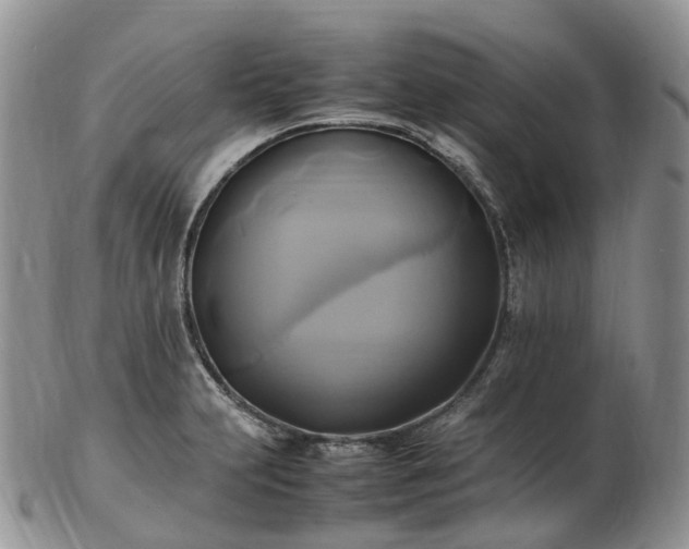 X0000102841231200808251148