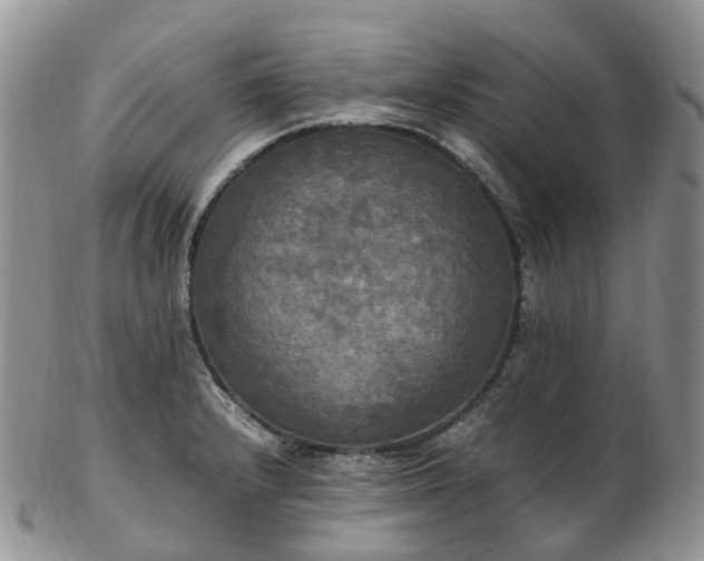 X0000102841232200808251148