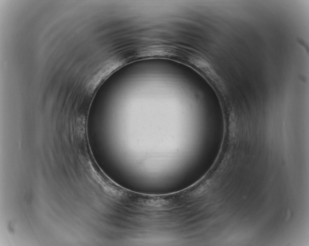 X0000102841233200808251148