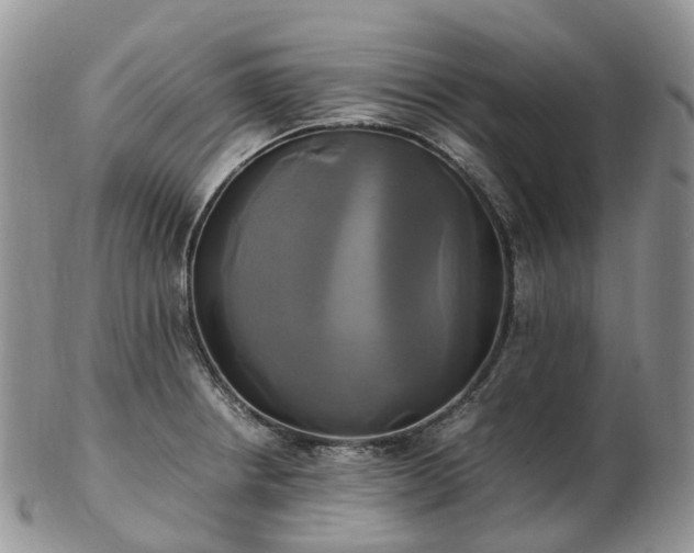 X0000102841234200808251148