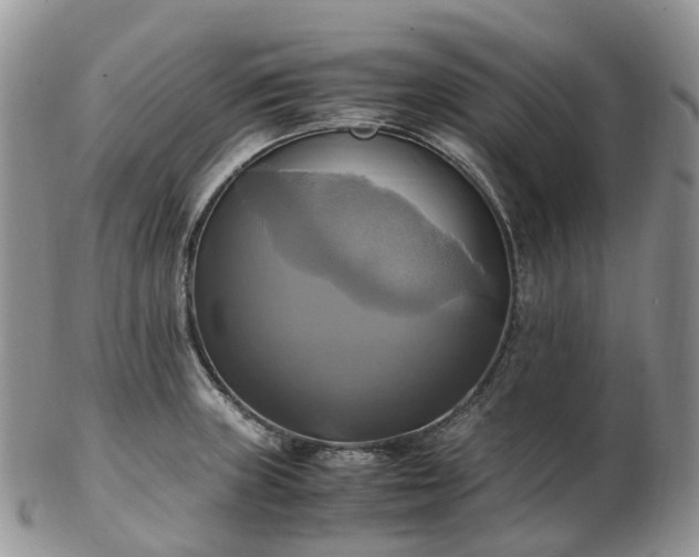 X0000102841235200808251149