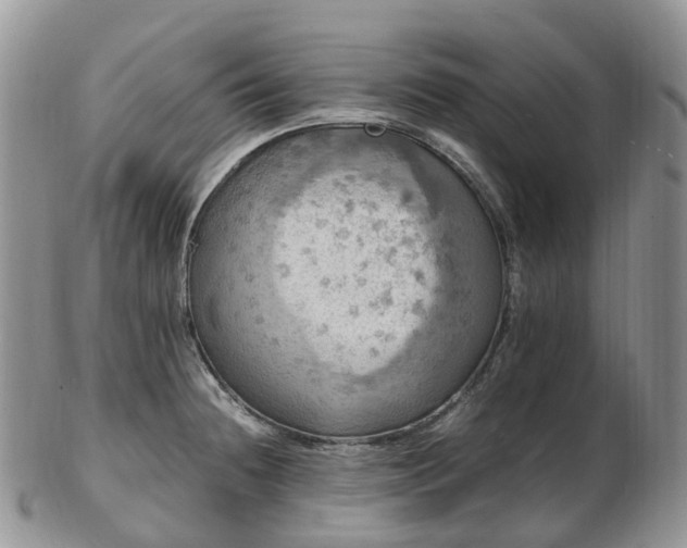 X0000102841236200808251149