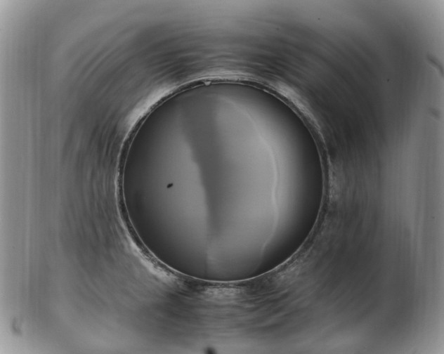 X0000102841237200808251149