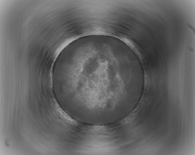 X0000102841238200808251149