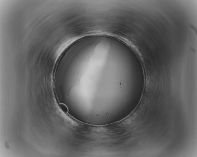 X0000102841239200808251149