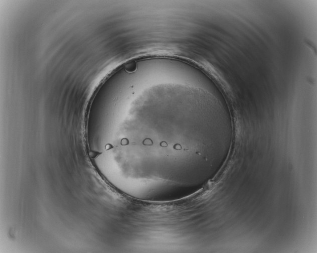 X0000102841240200808251149