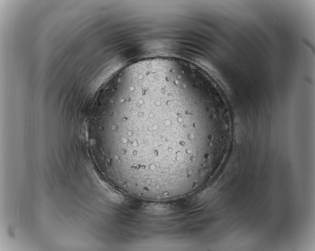 X0000102841241200808251149