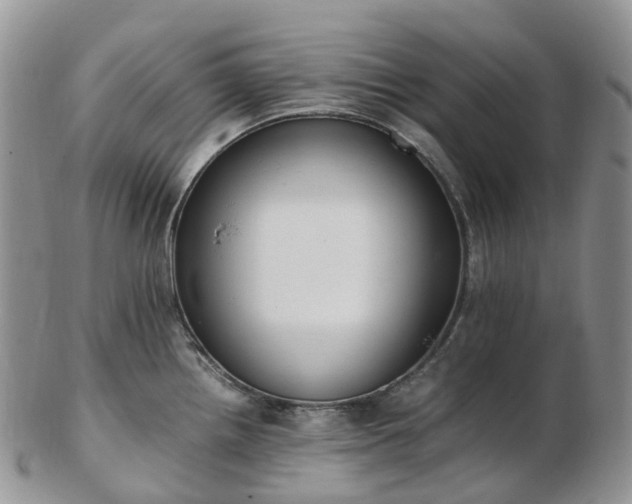 X0000102841242200808251149