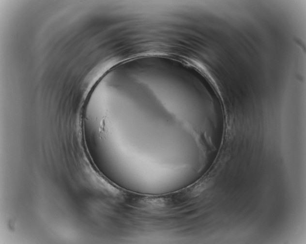 X0000102841243200808251149