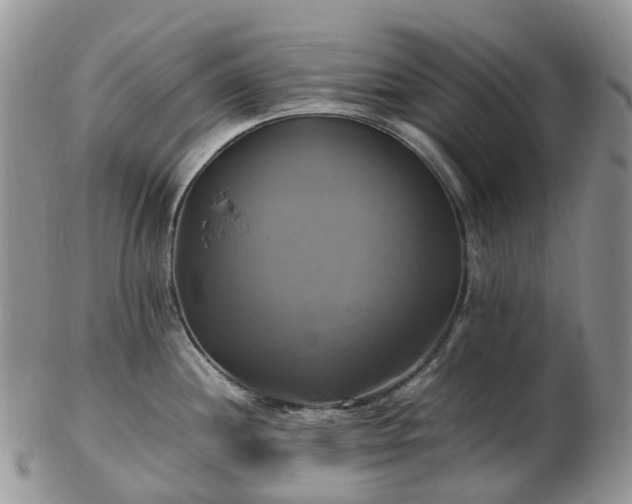 X0000102841244200808251149