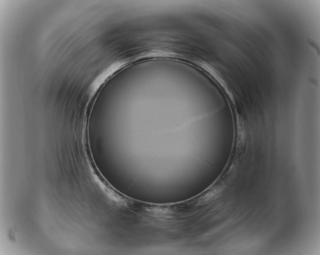 X0000102841245200808251149