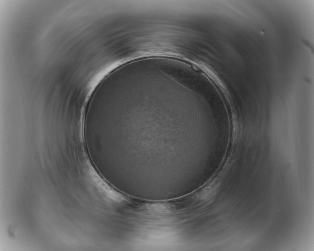 X0000102841246200808251149