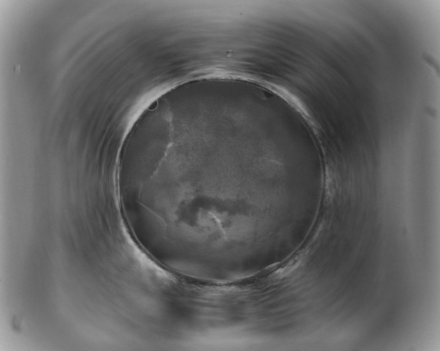 X0000102841247200808251149